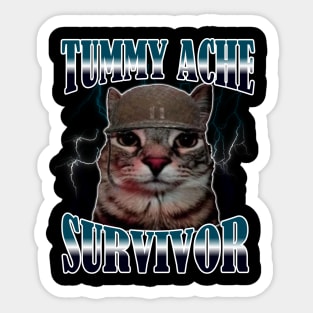 Tummy Ache Survivor War Cat Silly Goofy Meme Cat Sticker